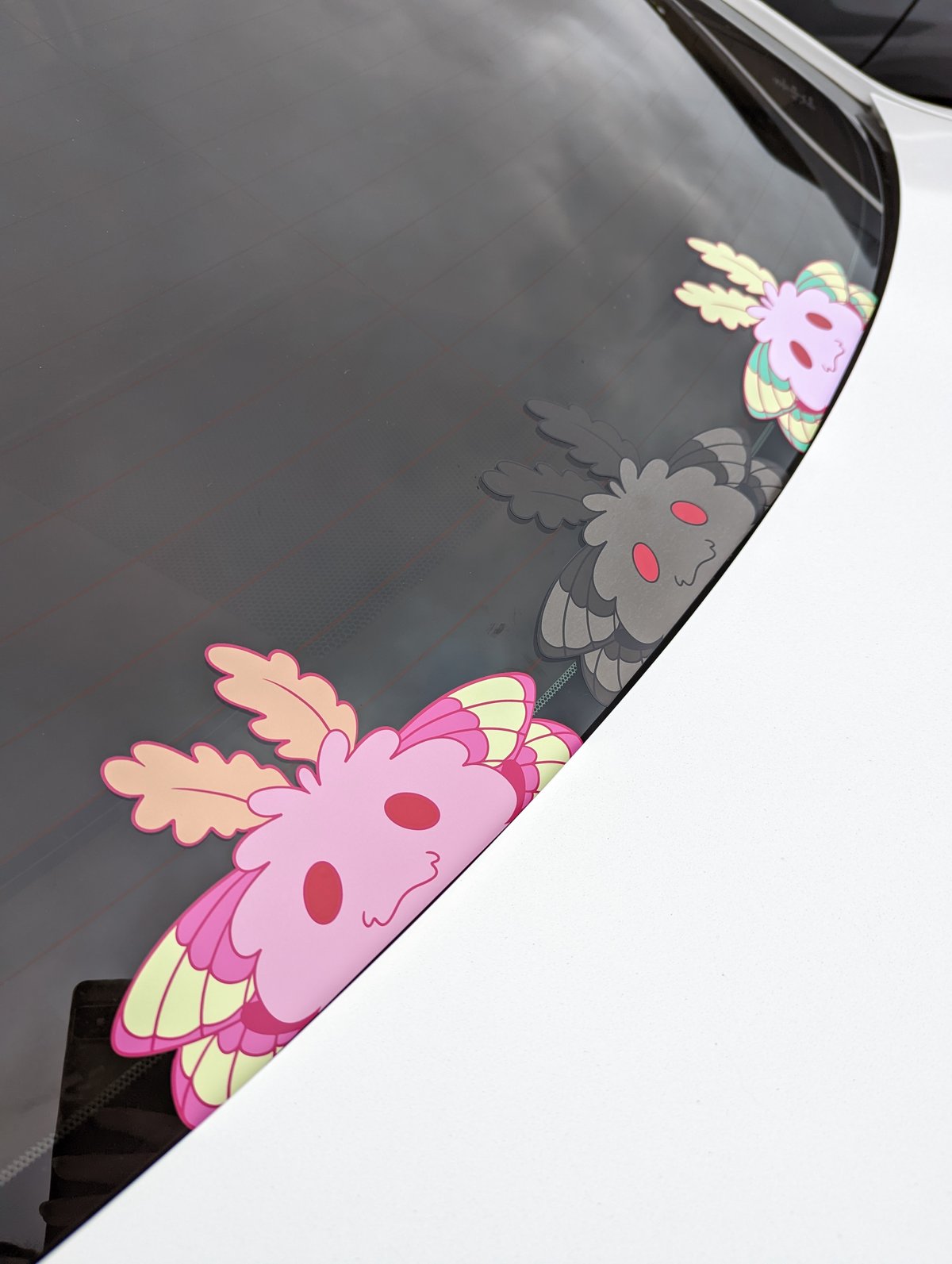 Moth Peeker