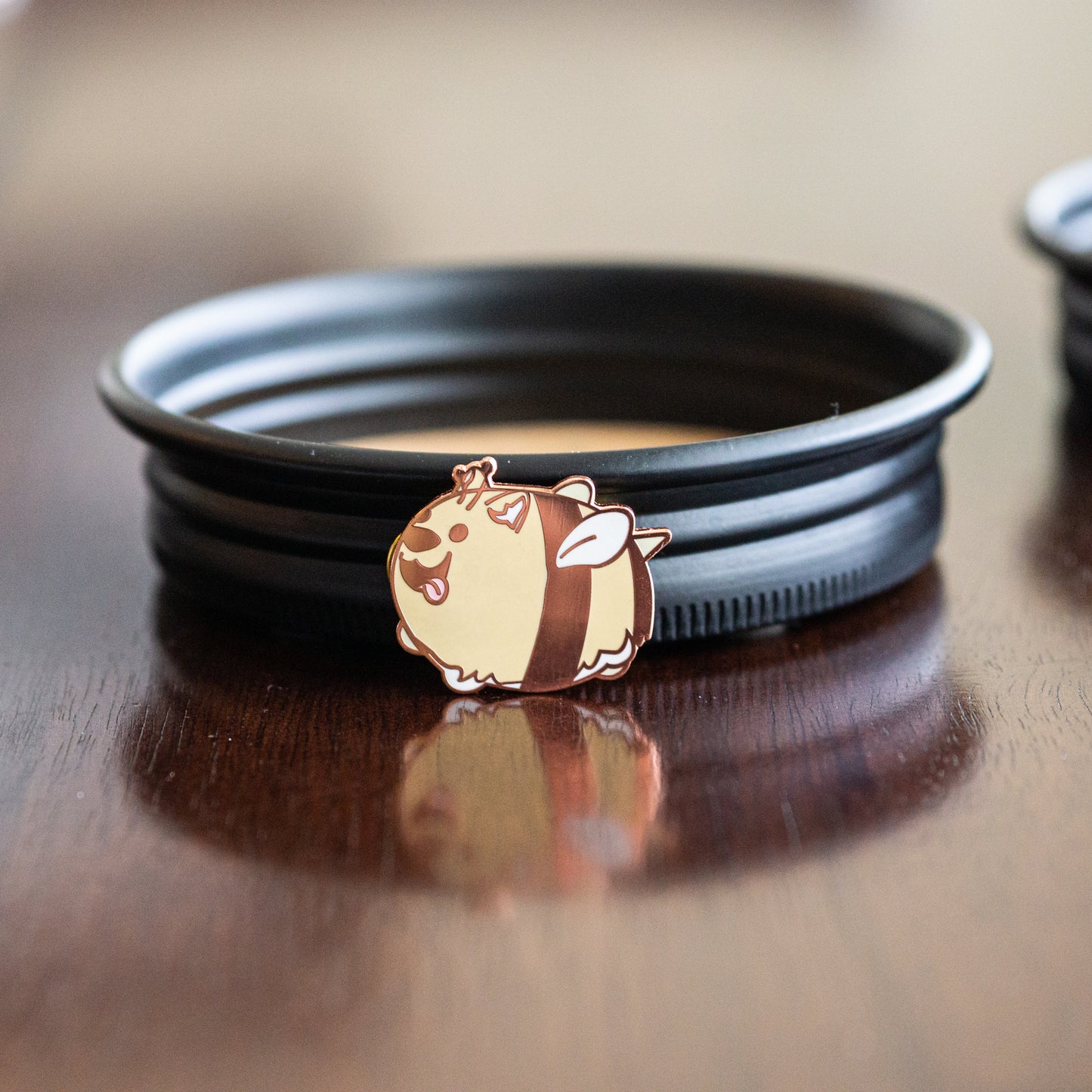 CorgBEE pin
