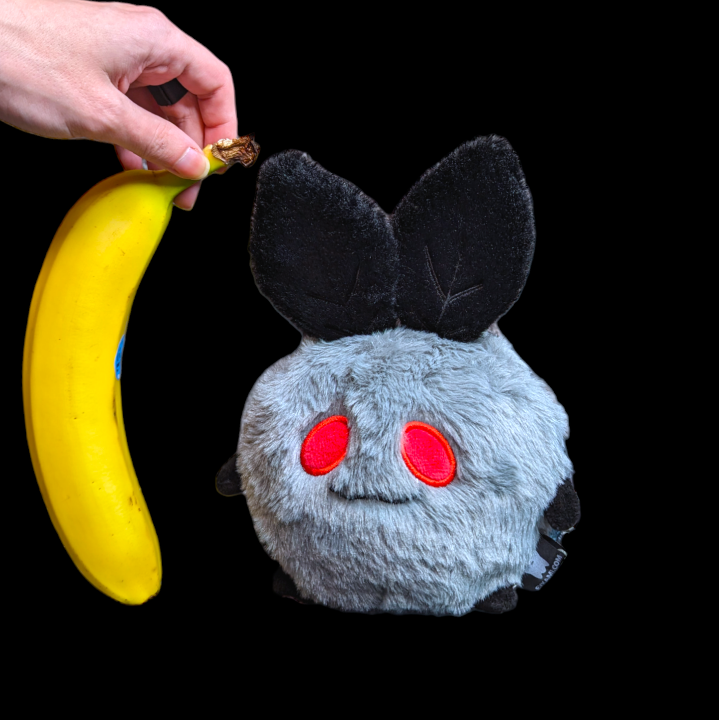 Mothboi plush